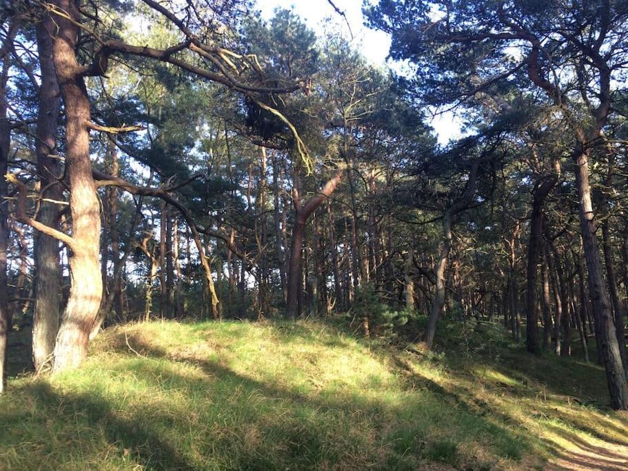 Appartement Gemuetliche 2 Zi-fewo Mit Terrasse, Strandnaehe, Wifi *